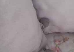 Artebb Webcam Rips 05-03-2024