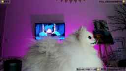 WeirdMe Webcam Rips 29-03-2024