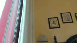 newnycol Webcam Rips 19-03-2024