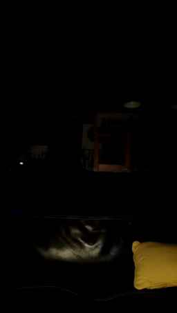HotChachoune Webcam Rips 07-04-2024