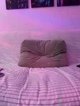 -INDICA- Webcam Rips 06-04-2024