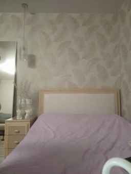 -Smetanka- Webcam Rips 26-04-2024