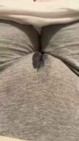 camilaperes Webcam Rips 09-05-2024