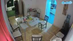 voyeurcam-julmodels-dining Webcam Rips 20-05-2024