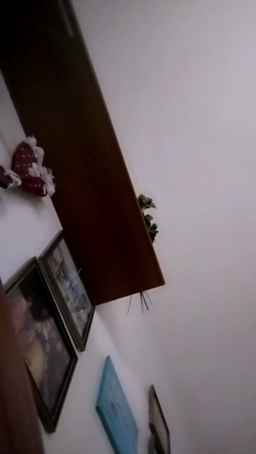 Akemy_room Webcam Rips 30-06-2024