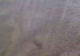 Rai008 Webcam Rips 20-06-2024