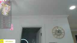 Half_American Webcam Rips 16-08-2024