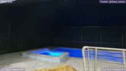 Stacy_x3 Webcam Rips 03-08-2024