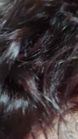 porcellina181 Webcam Rips 16-08-2024