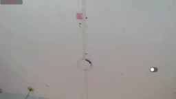 Sakuragojof Webcam Rips 04-09-2024