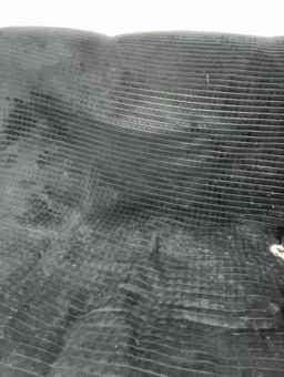 BABYam Webcam Rips 08-09-2024