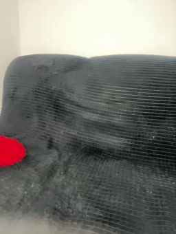 BABYam Webcam Rips 13-09-2024