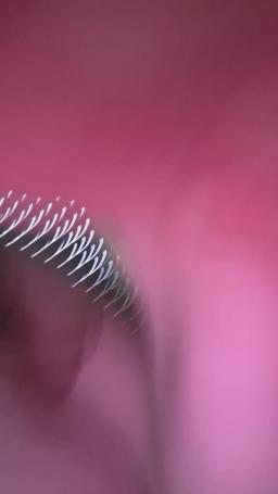 Masha73 Webcam Rips 01-02-2025