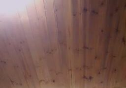 lore329 Webcam Rips 19-02-2025