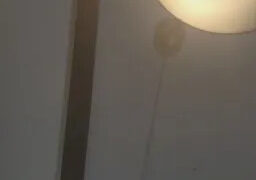 Deafnstoned Webcam Rips 29-05-2025