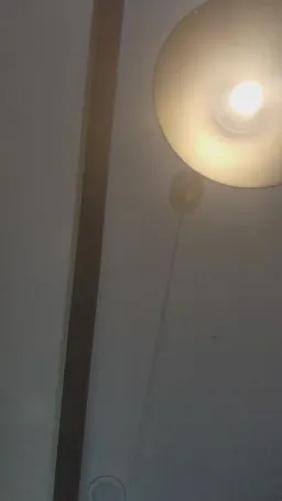 Deafnstoned Webcam Rips 29-05-2025
