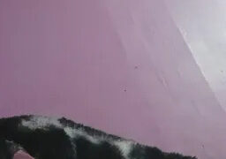 Angelxxx31 Webcam Rips 21-06-2025