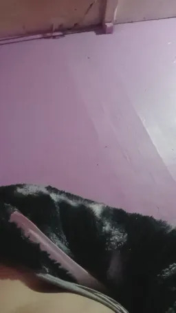 Angelxxx31 Webcam Rips 21-06-2025
