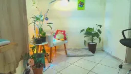 bluemysticlady Webcam Rips 23-06-2025