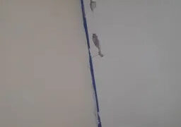 belulaa Webcam Rips 15-07-2025