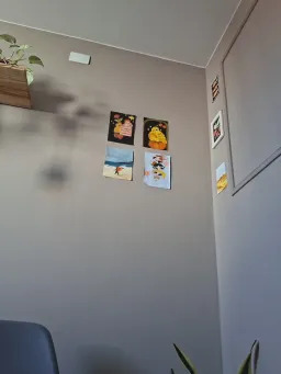 EvelynVanilie Webcam Rips 29-11-2025
