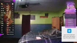 summer_star7 Webcam Rips 15-03-2026