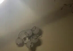 _Molly-Mae_ Webcam Rips 15-04-2026