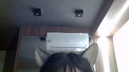 SkinnyKitten Webcam Rips 21-05-2026