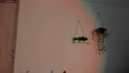 sara_sweett9 Webcam Rips 15-06-2026